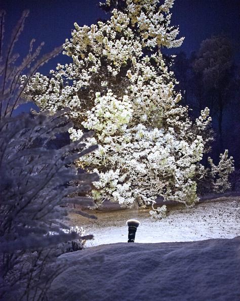 Actual product image Star Trading Spotlight (E27, 1300 lm, 1 x)