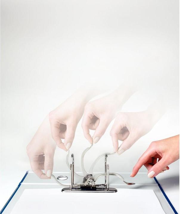 Actual product image Leitz Presentation folder (A4+, 65 mm, 1 Piece)