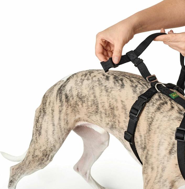 Immagine prodotto Hunter Imbracatura di sicurezza Vario Rapid (L, Cane, Generale)