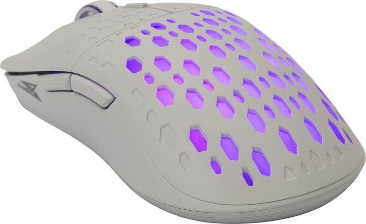 Actual product image Baracuda Octopus (Cable)