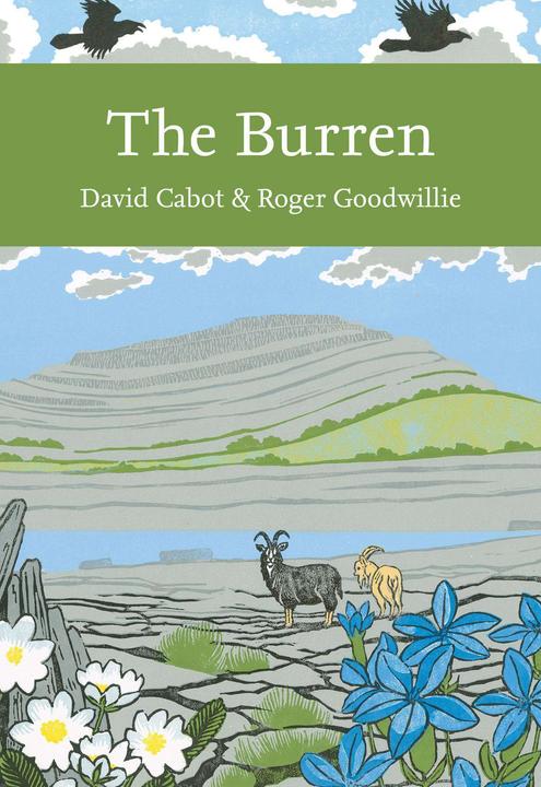 Produktbild The Burren (Englisch, David Cabot, Roger Goodwillie, 2018)