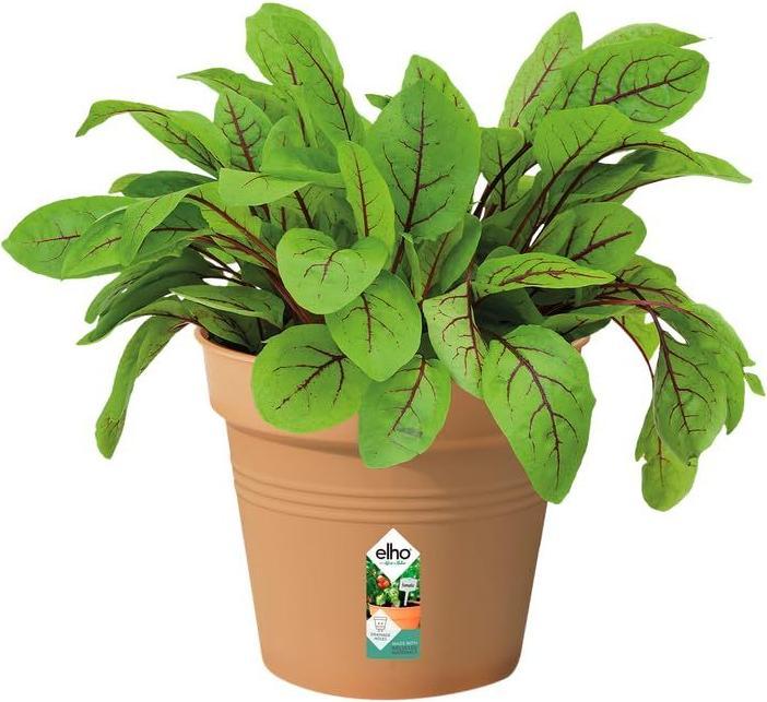 Produktbild Elho Green Basic (13 x 12 cm)