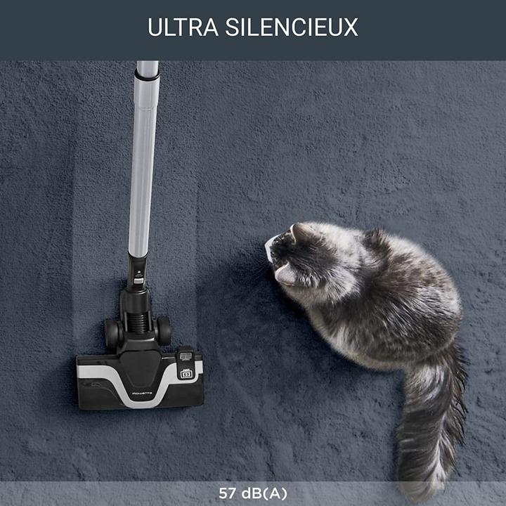 Immagine prodotto Rowenta Silence Force Allergy+ RO7473