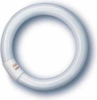 Immagine prodotto Osram Tubo fluorescente (G10q, 22 W, 1350 lm, 1 x, G)