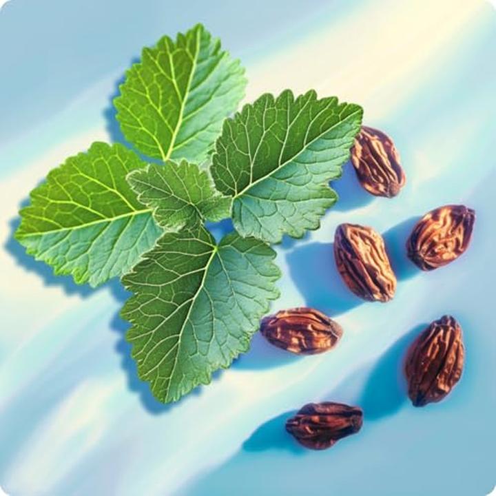 Immagine prodotto Elie Saab Girl Of Now (Eau de parfum, 90 ml)