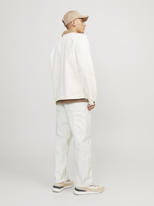 Actual product image Jack & Jones Loose fit cargo trousers Trousers (36)