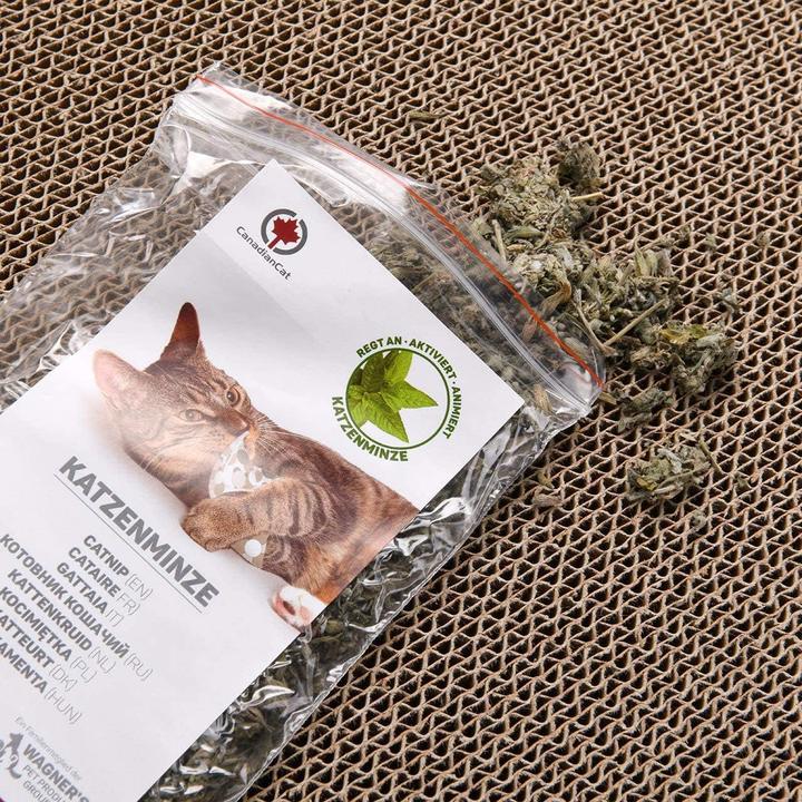 Actual product image CanadianCat Orbit (Brown)