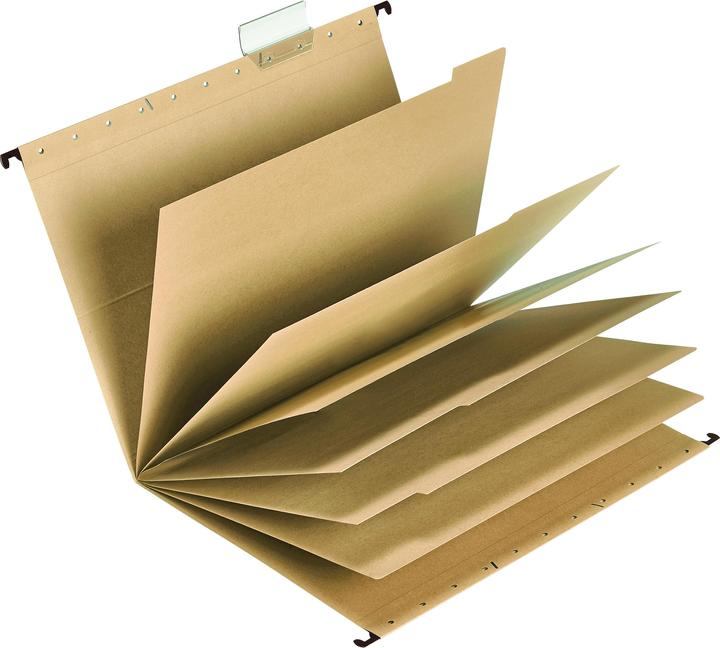 Actual product image Falken Personal folder UniReg DIN A4 230g/m² with organisation print Kraft cardboard natural brown (A4, 20x)