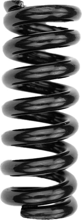 Actual product image Avizar Replacement spring for front and rear suspension