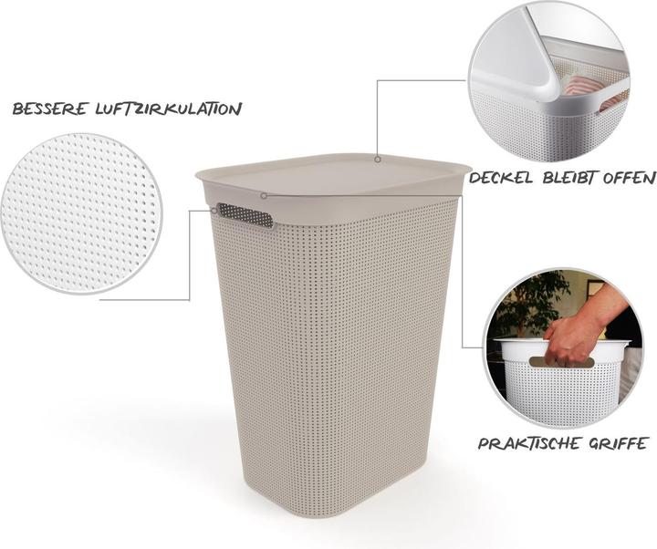 Immagine prodotto Rotho Breezes 1 (50 l)