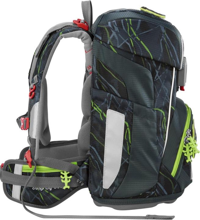 Actual product image Step by Step Danger Cat Chiko (19 l)