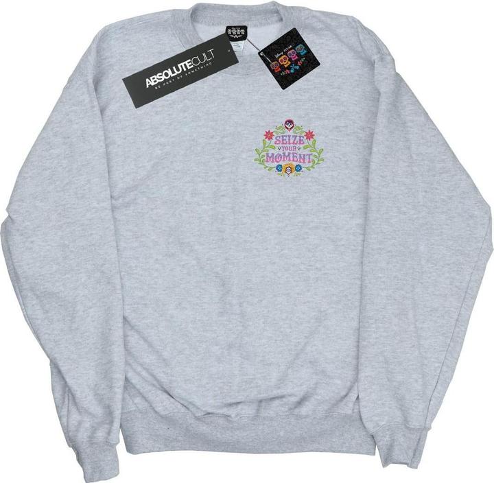 Actual product image Disney Womens/Ladies Coco Seize Your Moment Sweatshirt (XL)