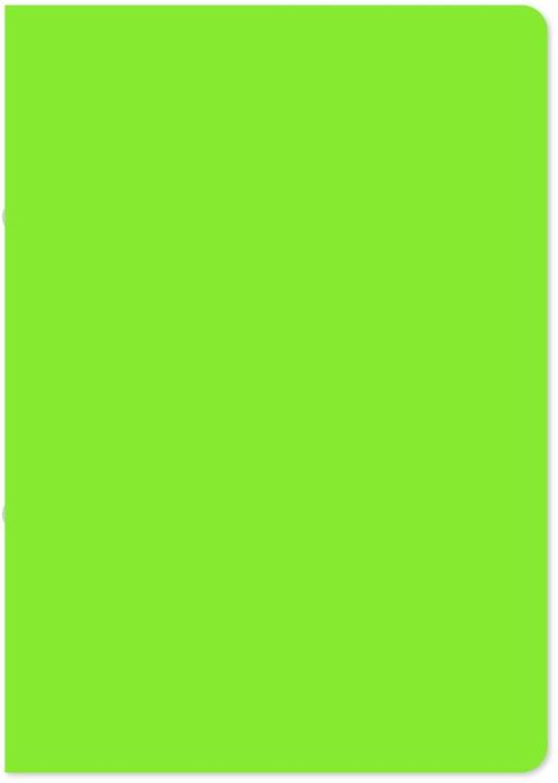 Staufen Raccoglitore ad anelli in PP A4 17mm verde chiaro (A4, 1 pz.)