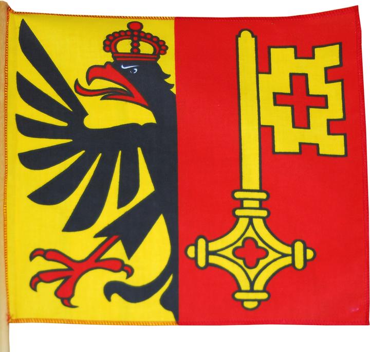 Image du produit Hauser Drapeau GE, tissu, 30x30 cm