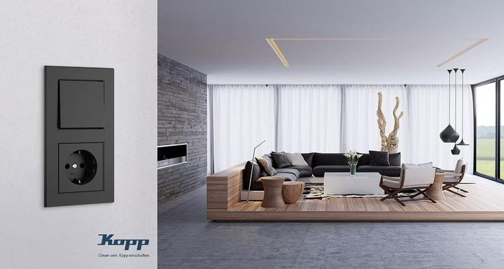 Actual product image Kopp Horizontal dual switch cover frame with field