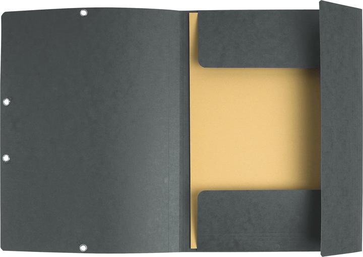 Actual product image Exacompta A4 folder - 3 flaps (A4, 1 x)