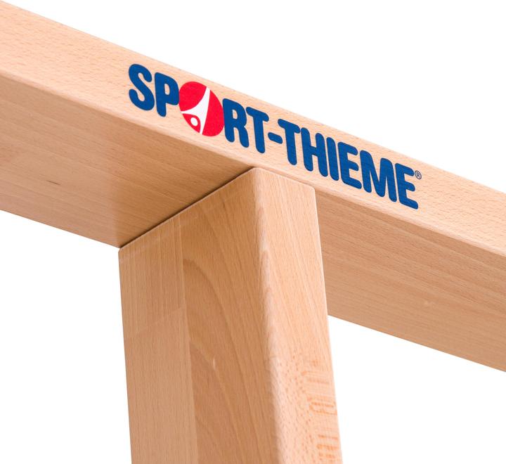 Produktbild Sport-Thieme Turnwand-Einzelelement TuWa Gitterleiter