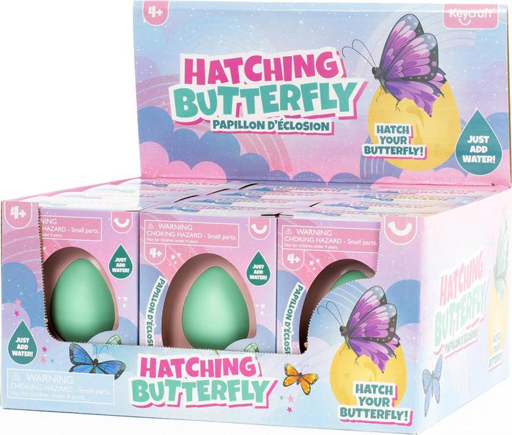Actual product image Sombo Egg butterfly display