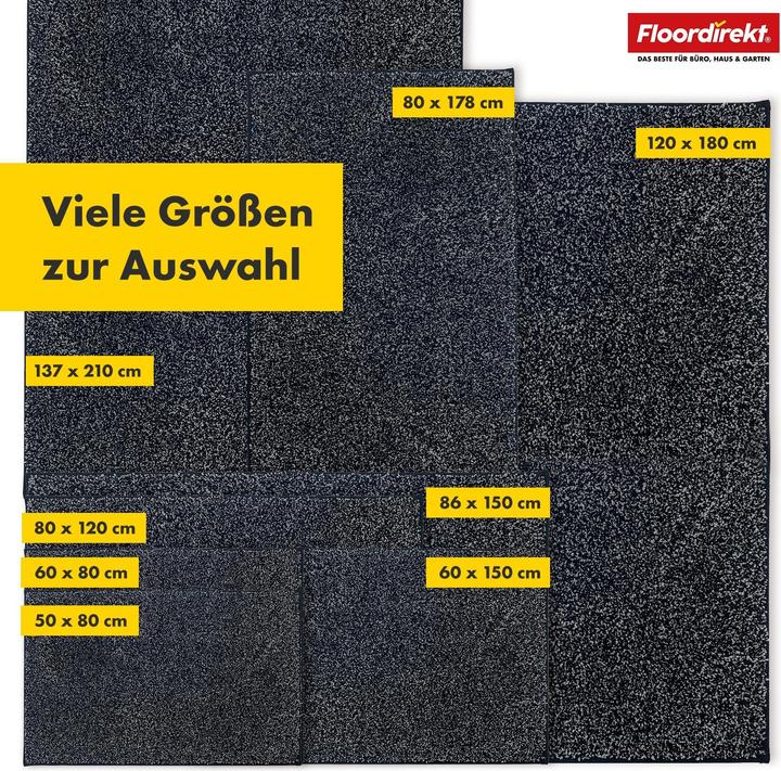Image du produit Floordirekt Schmutzfangmatte Nasa (86 x 150 cm)