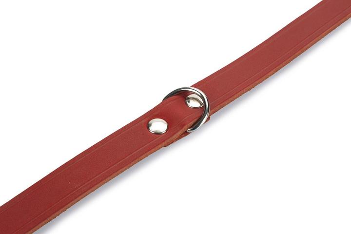 Produktbild Beeztees BZ LEDERHALSBAND ROT 57X20 (Hund, Allgemein)