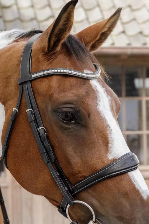Image du produit Dy'on Muserolle cheval sans sous barbe anatomique cuir