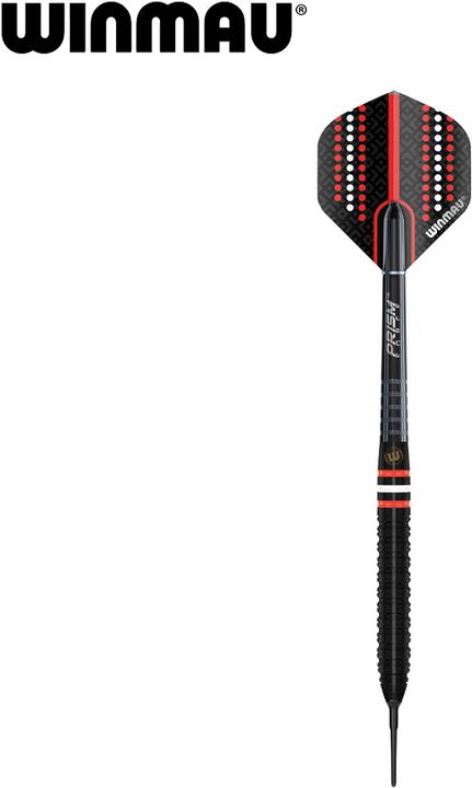 Actual product image Winmau Pro-Line (20 g)