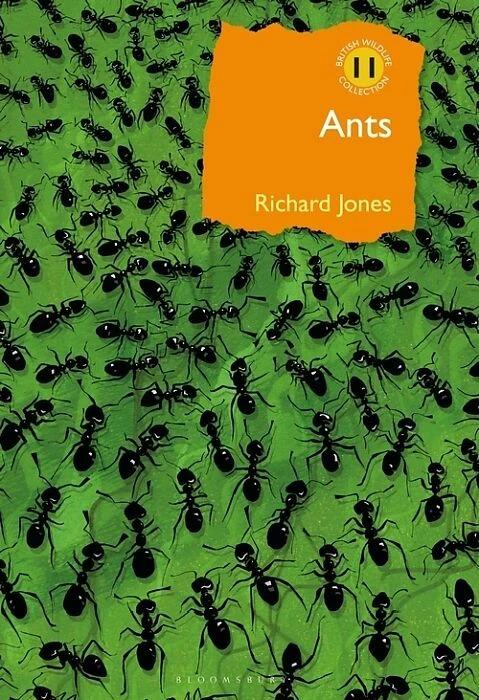 Produktbild Ants (Englisch, Richard Jones, 2022)