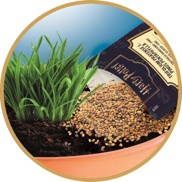 Image du produit Clementoni Mandragola