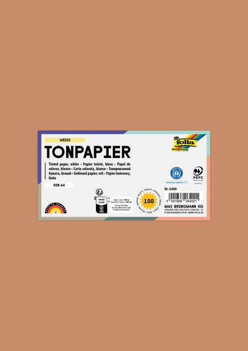 Immagine prodotto Folia Cartone fotografico 300g/m², 50x70cm (300 g/m²)