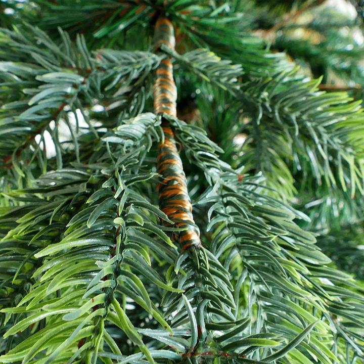Actual product image Gartenpirat Artificial Christmas Tree, 150cm (150 cm)