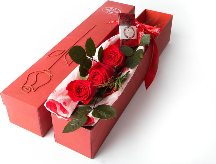 Actual product image Rosas Rivas Rose stem Premium 3-headed (56 cm)