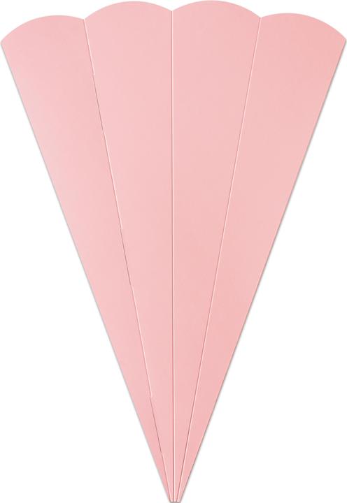 Immagine prodotto Folia Sbozzi di coni scolastici (68 cm, 5 x)