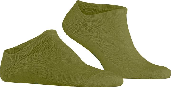 Actual product image Burlington Cornwall (Single pack, 40 - 46)
