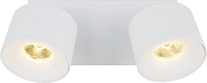 Actual product image Globo Rae