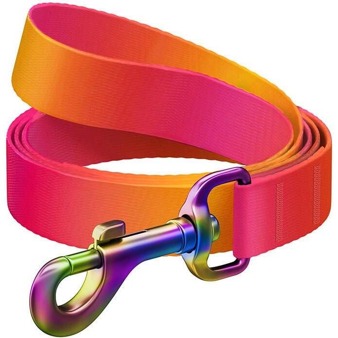 Waudog gradient nylon dog leash, 20mm wide, 122cm long, orange (M, Hund, Allgemein), Halsband + Leine
