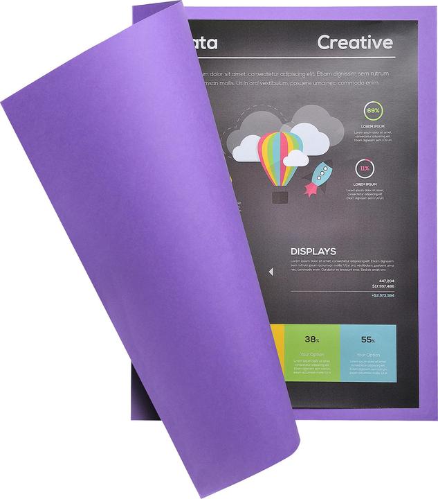 Actual product image Exacompta Collection folders - File covers (A4, 10 x)