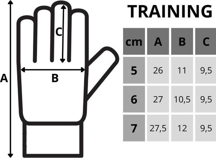 Actual product image Enero Rękawice Bramkarskie Training R.7 (7)