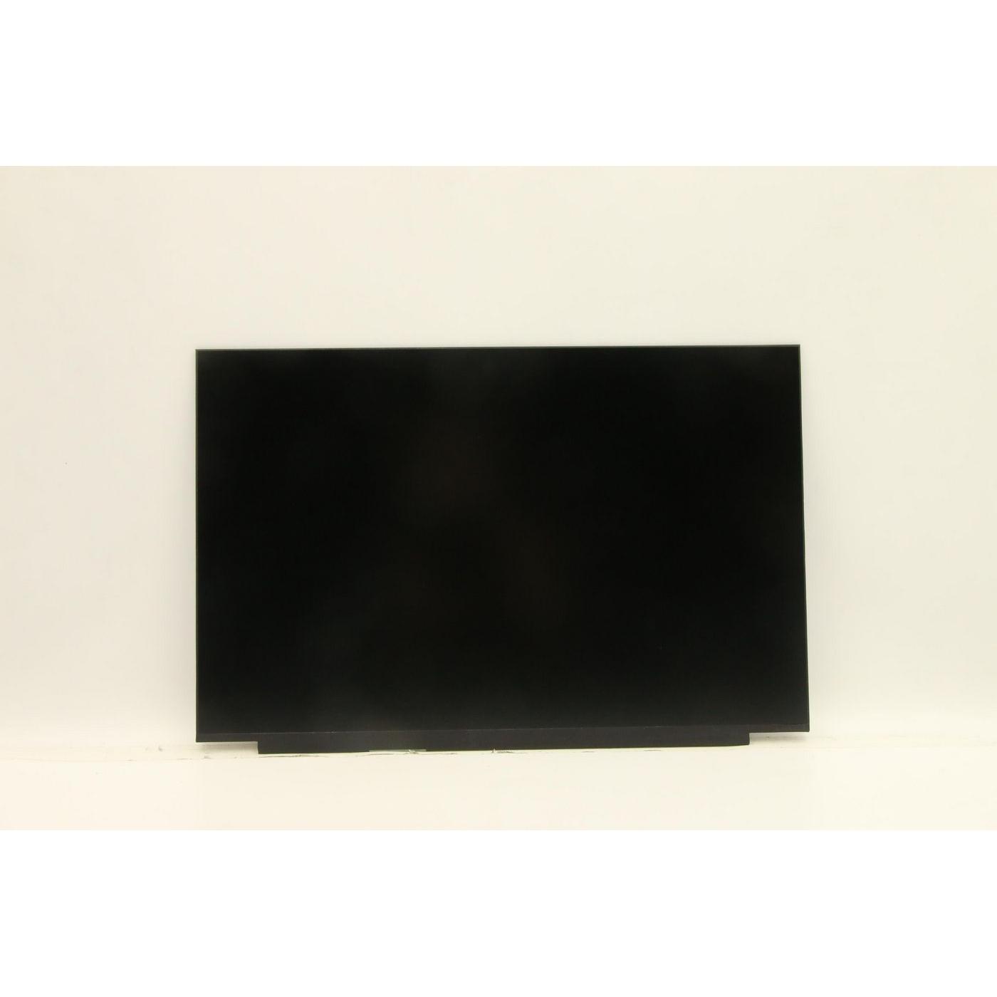 Lenovo DISPLAY FRU BO NE160QDM-N62, Notebook Ersatzteile