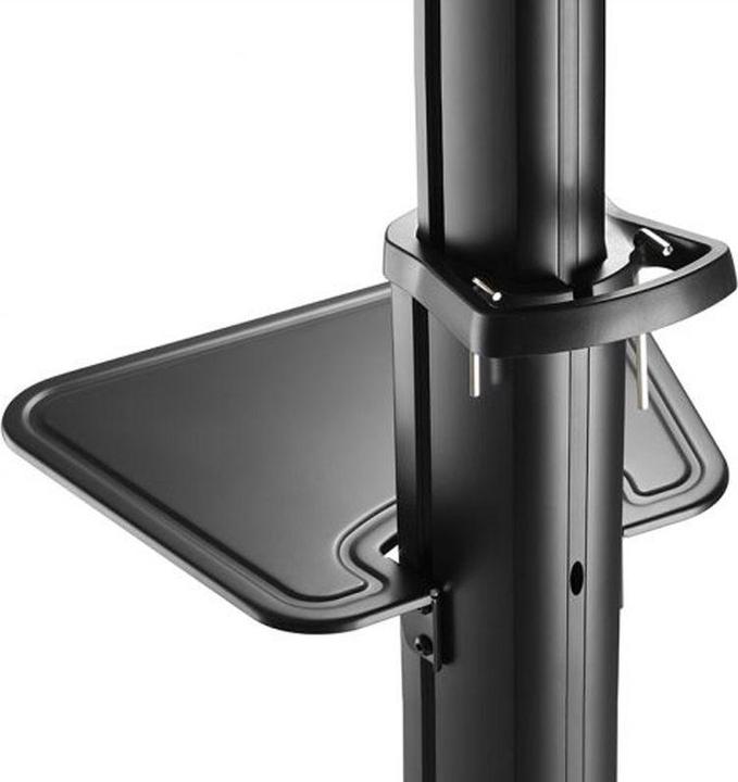 Produktbild Hagor BrackIT Stand Single (65 Zoll) (65", 70 kg)