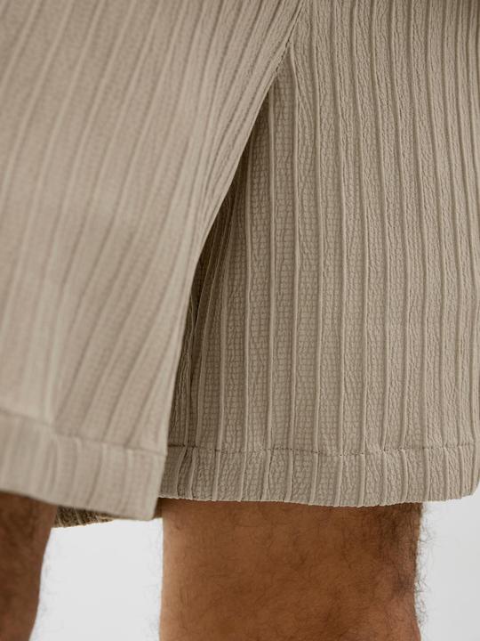 Actual product image Jack & Jones Regular Fit Relaxed Fit Shorts Relaxed Fit Shorts (S)