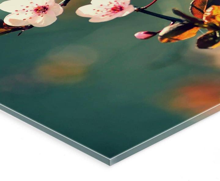 Immagine prodotto Trenddeko Risveglio di primavera (150 x 100 cm)