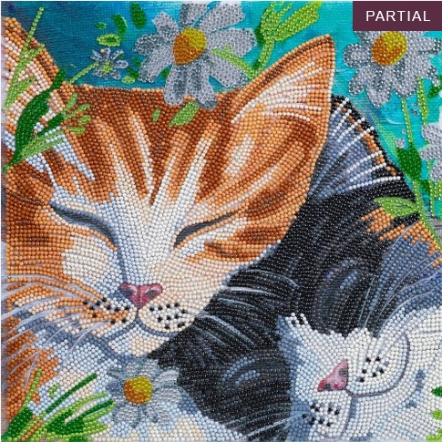 Actual product image Craft Buddy Sleeping Cats, picture 30x30cm Crystal Art