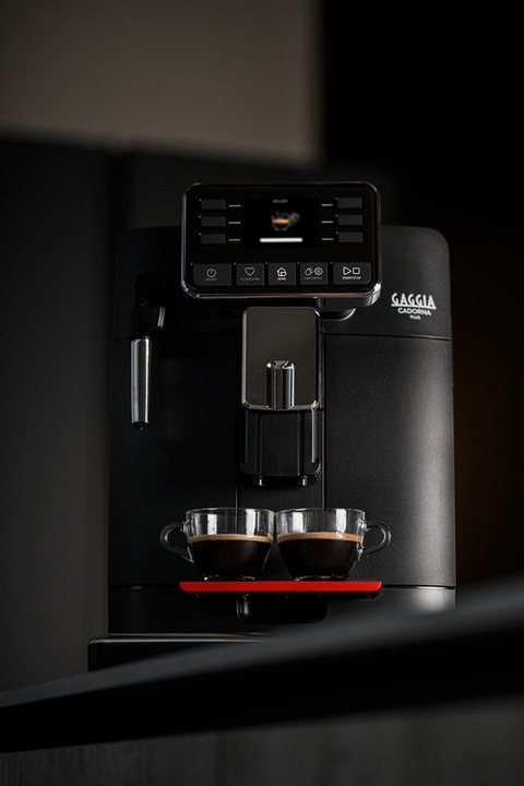 Immagine prodotto Gaggia RI9601/01 - Cadorna Plus (Spina UE)