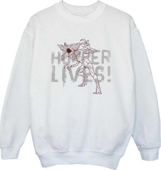 Image du produit Netflix - Sweat STRANGER THINGS HOPPERS LIVE - Garçon (128)