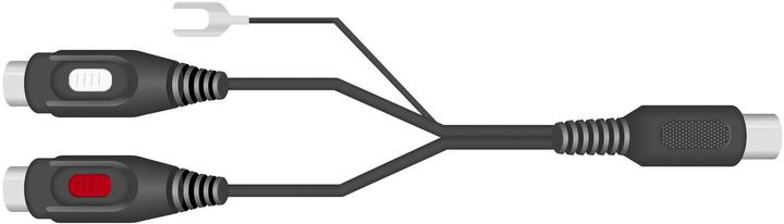 Image du produit SpeaKa Professional RCA/DIN-adaptateur de raccordement fiche DIN 5 pôles 2 x RCA femelle (Séparateur audio)