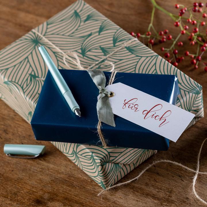 Actual product image Schneider Callissima 1.5 mm fountain pen, anthracite (Charcoal, 1 x)