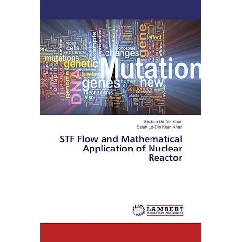 STF Flow and Mathematical Application of Nuclear Reactor, Fachbücher von Shahab Ud-Din Khan, Salah Ud-Din Khan Khan