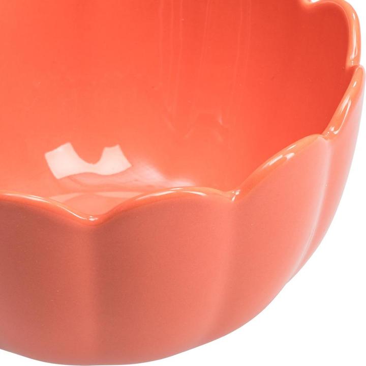 Actual product image BYYU Scallop (13.50 cm)