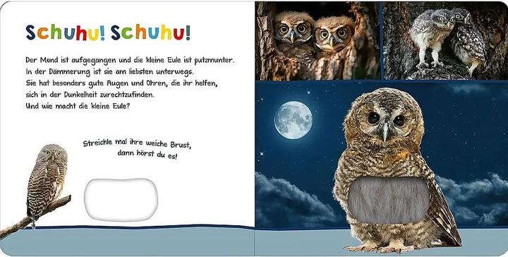 Actual product image Hör mal rein, wer kann das sein? - Tiere in der Nacht (German)
