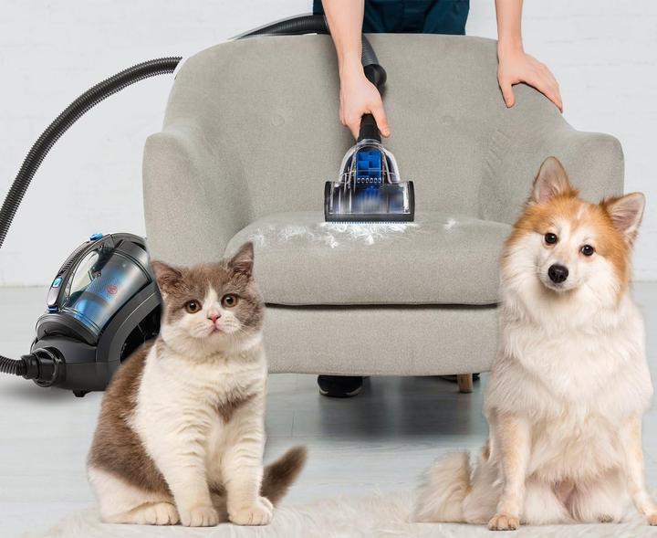 Produktbild AG Stofzuiger Zonder Zak - Stofzuigers - Vacuum Cleaner Zakloos - 900W - Sterke Zuigkracht - Blauw